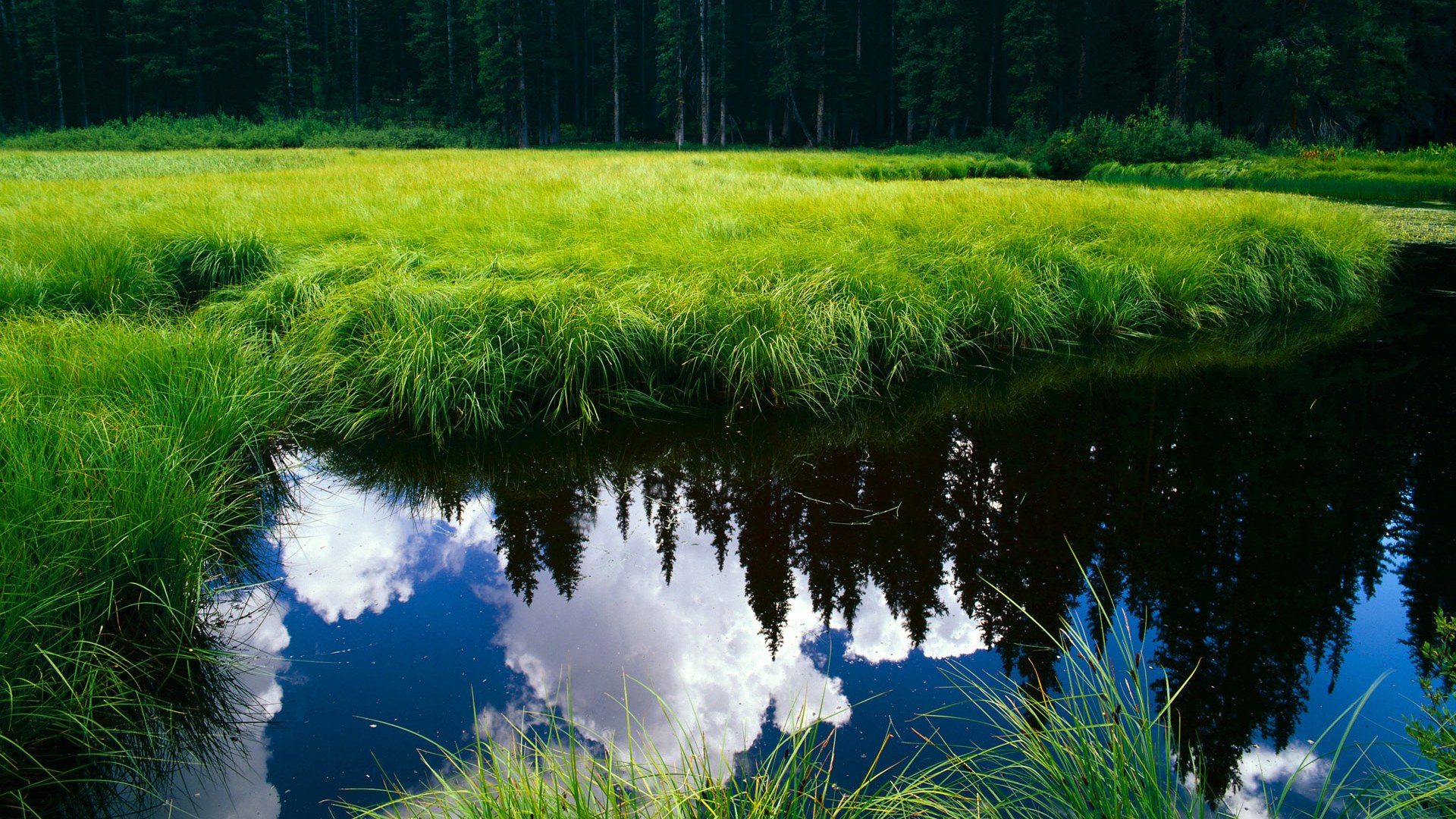 加勒比海风暴中的定海神针，凯塞多用实力证明自己，哥斯达黎加力克牙买加