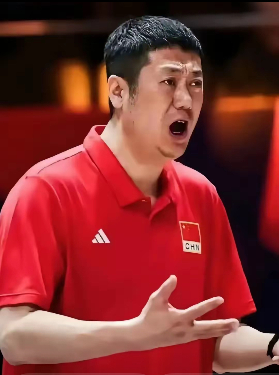 中国队碾压波兰队，王皓高光表现