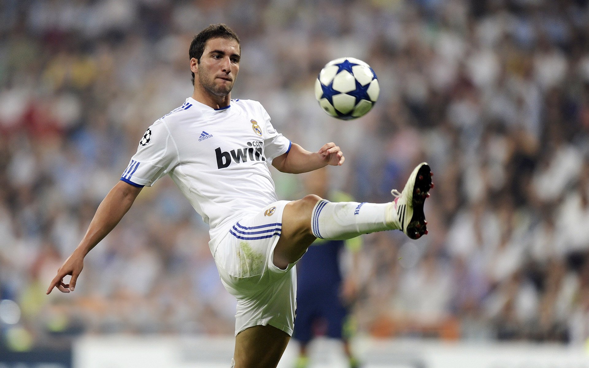 钢铁之心与红色狂潮，范弗利特压力下的爆发与公牛式正面击溃